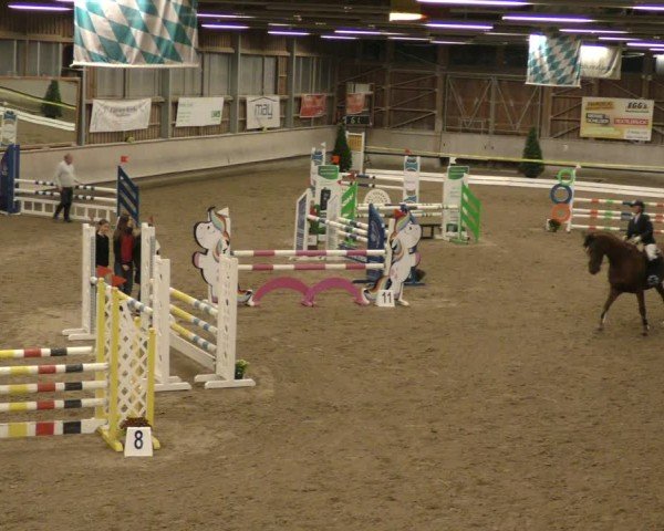Reitturnier Krombach/Hof-Hauenstein/Ufr. 2024