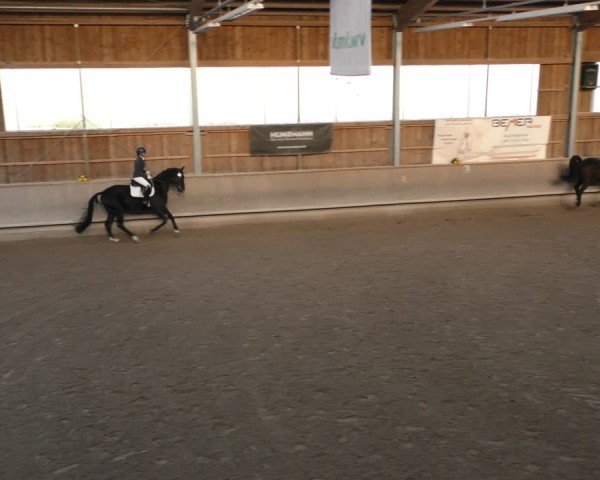 Reitturnier Krombach/Hof-Hauenstein/Ufr. 2024