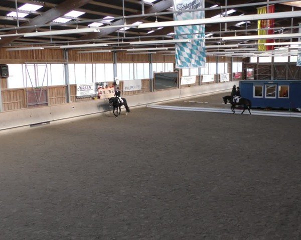 Reitturnier Krombach/Hof-Hauenstein/Ufr. 2024