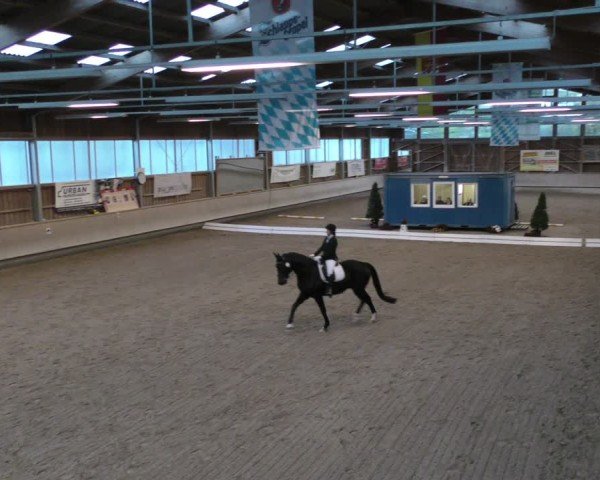 Reitturnier Krombach/Hof-Hauenstein/Ufr. 2024