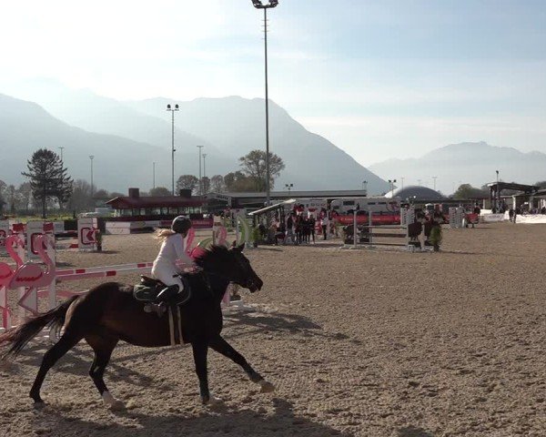 Reitturnier Giubiasco 2024
