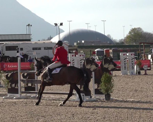 Reitturnier Giubiasco 2024