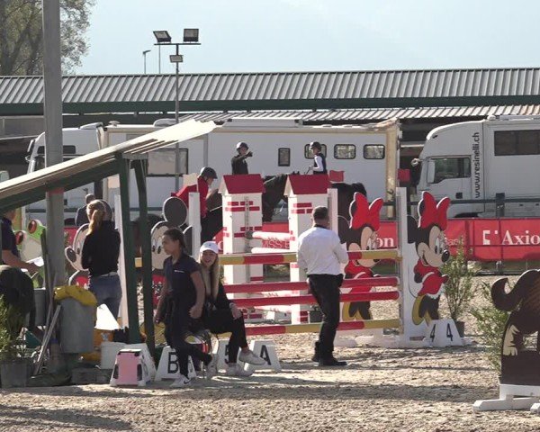 Reitturnier Giubiasco 2024