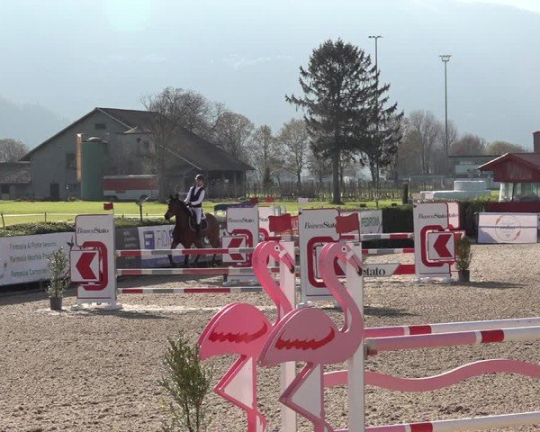 Reitturnier Giubiasco 2024