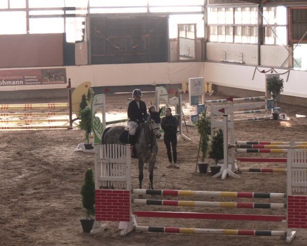Reitturnier Marl, Reithalle Rohmann 2024