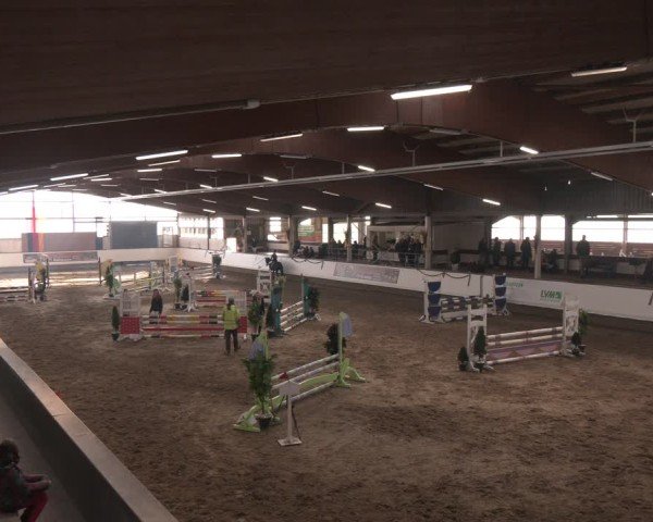 Reitturnier Marl, Reithalle Rohmann 2024