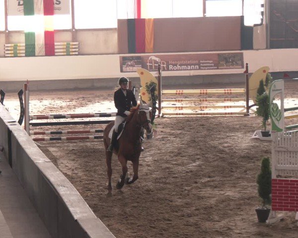 Reitturnier Marl, Reithalle Rohmann 2024