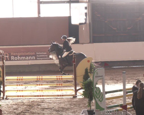 Reitturnier Marl, Reithalle Rohmann 2024