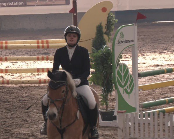 Reitturnier Marl, Reithalle Rohmann 2024