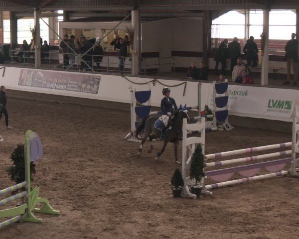 Reitturnier Marl, Reithalle Rohmann 2024