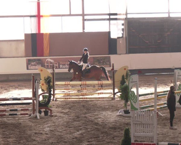 Reitturnier Marl, Reithalle Rohmann 2024