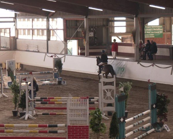 Reitturnier Marl, Reithalle Rohmann 2024