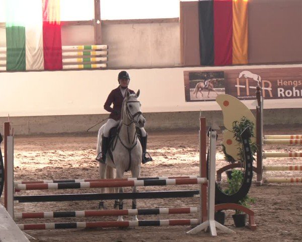 Reitturnier Marl, Reithalle Rohmann 2024