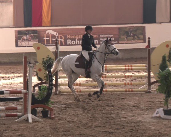 Reitturnier Marl, Reithalle Rohmann 2024