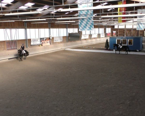 Reitturnier Krombach/Hof-Hauenstein/Ufr. 2024