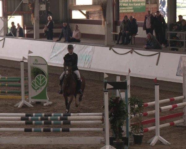 Reitturnier Marl, Reithalle Rohmann 2024