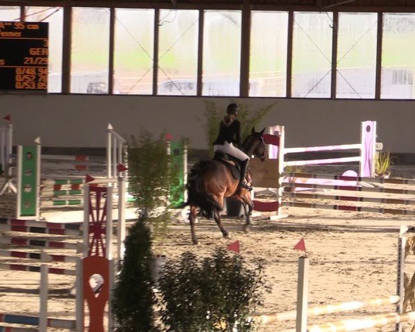 Reitturnier Fleesensee Classic´s 2024