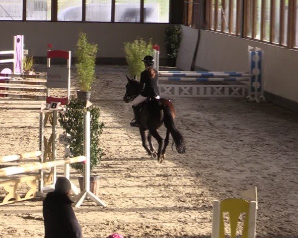 Reitturnier Fleesensee Classic´s 2024
