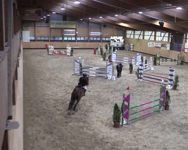 Reitturnier Fehraltorf 2024