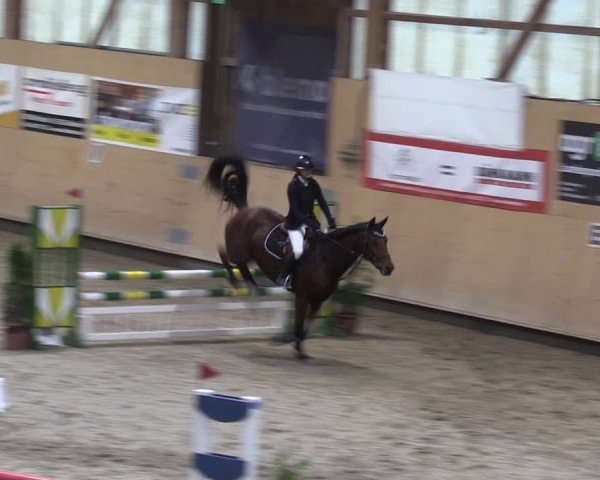 Reitturnier Fehraltorf 2024