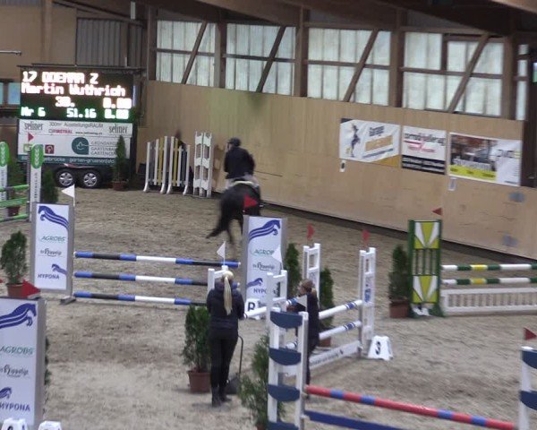 Reitturnier Fehraltorf 2024