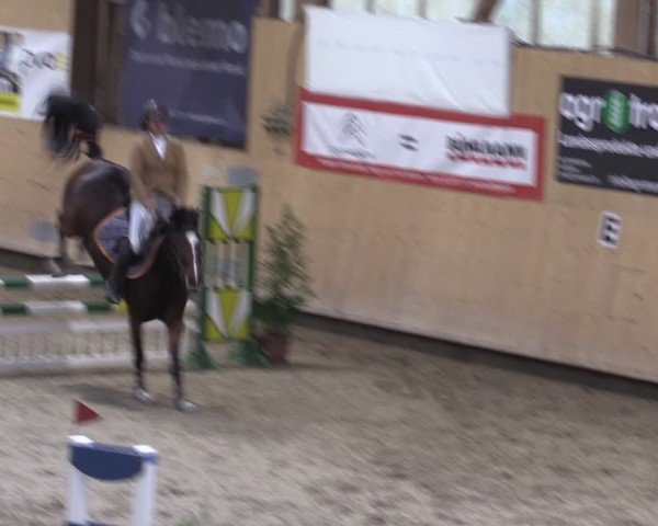 Reitturnier Fehraltorf 2024