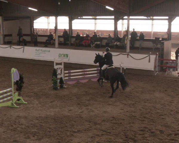 Reitturnier Marl, Reithalle Rohmann 2024