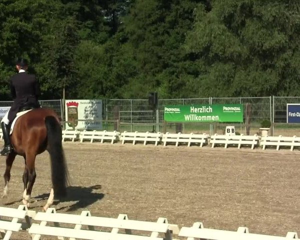 60. Lobbericher Reitsportfestival 01.-04.08.2013