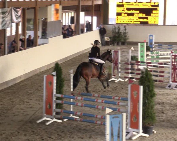 Reitturnier Fleesensee Classic´s 2024