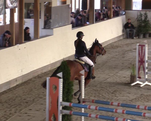 Reitturnier Fleesensee Classic´s 2024