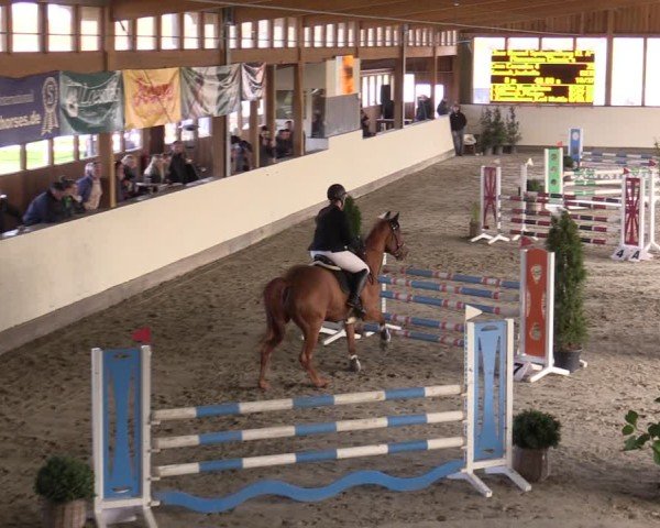 Reitturnier Fleesensee Classic´s 2024