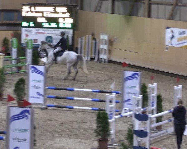 Reitturnier Fehraltorf 2024