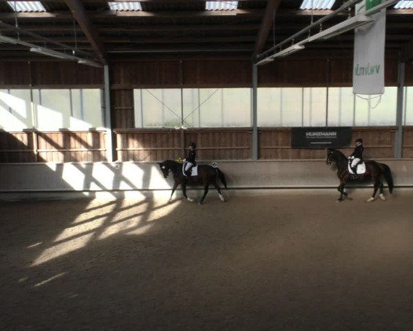 Reitturnier Krombach/Hof-Hauenstein/Ufr. 2024