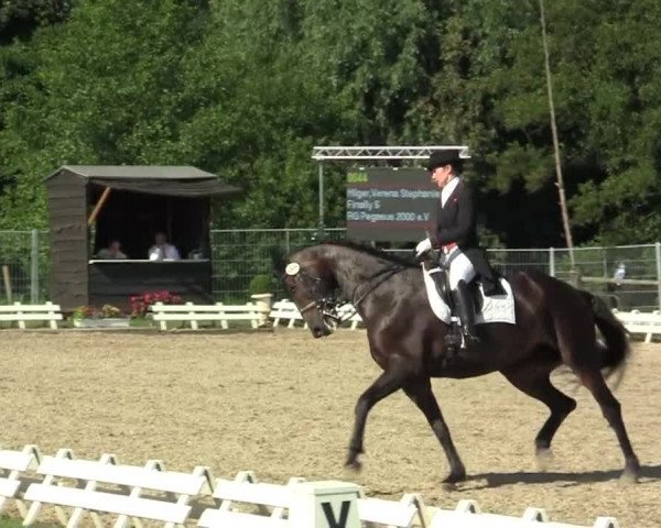 60. Lobbericher Reitsportfestival 01.-04.08.2013