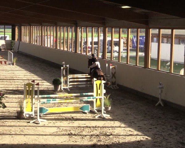 Reitturnier Fleesensee Classic´s 2024