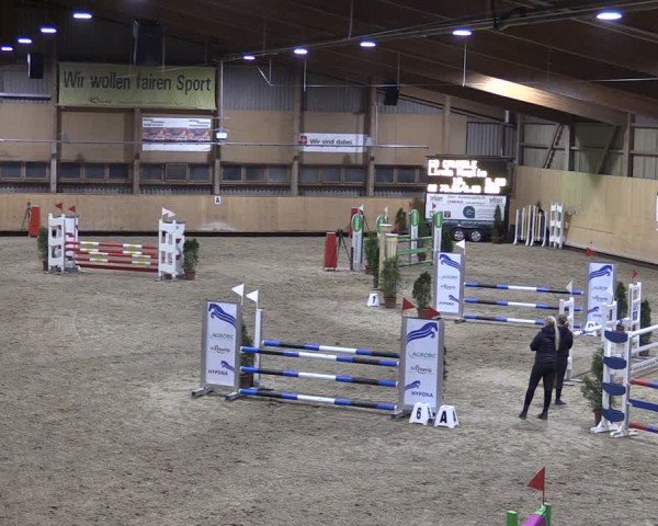 Reitturnier Fehraltorf 2024