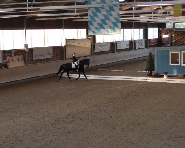Reitturnier Krombach/Hof-Hauenstein/Ufr. 2024