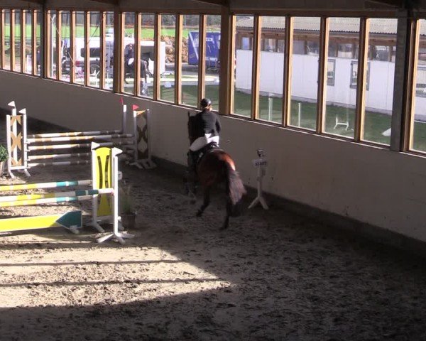 Reitturnier Fleesensee Classic´s 2024