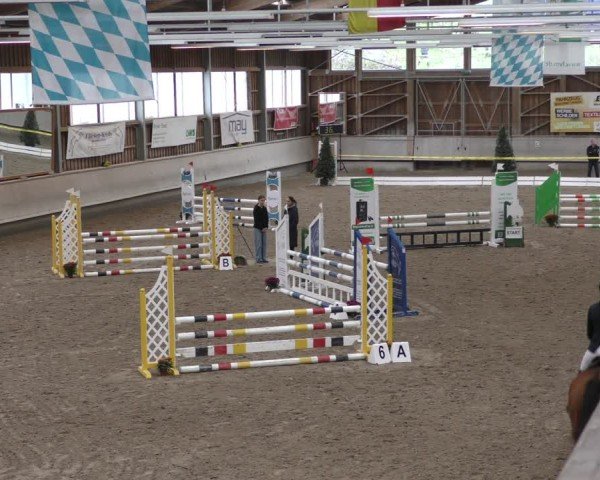 Reitturnier Krombach/Hof-Hauenstein/Ufr. 2024