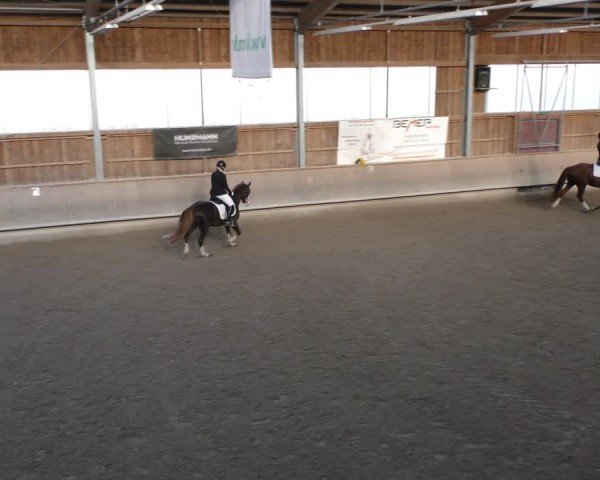 Reitturnier Krombach/Hof-Hauenstein/Ufr. 2024