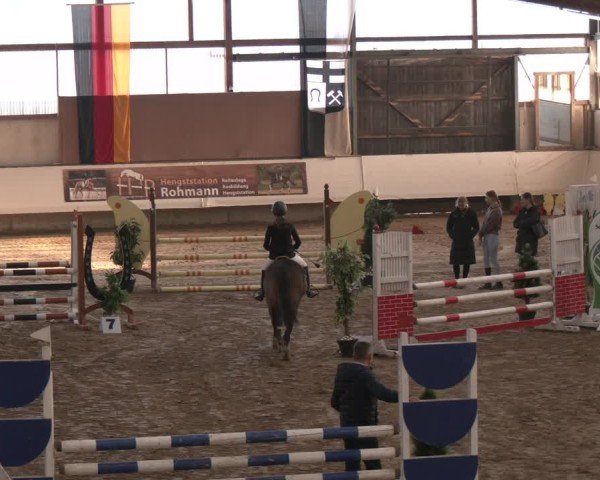 Reitturnier Marl, Reithalle Rohmann 2024
