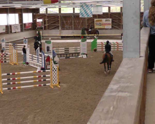 Reitturnier Krombach/Hof-Hauenstein/Ufr. 2024