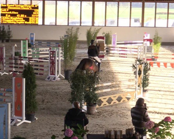 Reitturnier Fleesensee Classic´s 2024