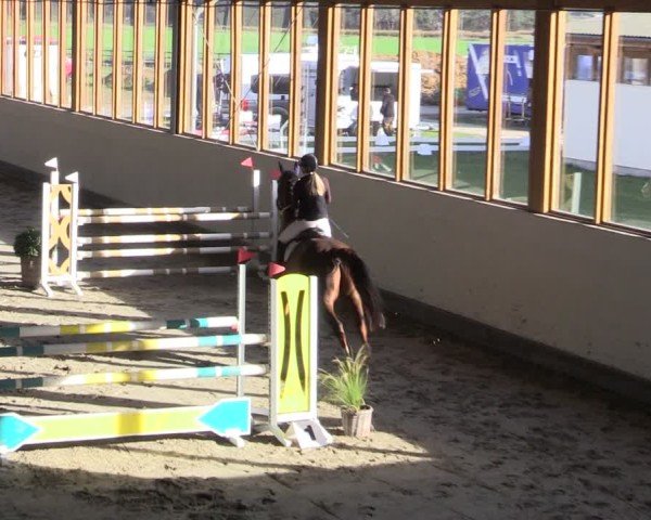 Reitturnier Fleesensee Classic´s 2024