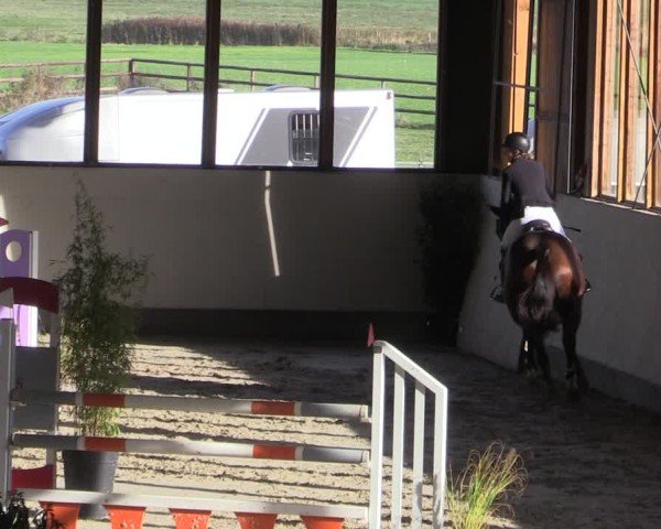 Reitturnier Fleesensee Classic´s 2024