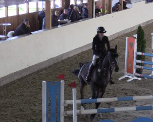 Reitturnier Fleesensee Classic´s 2024