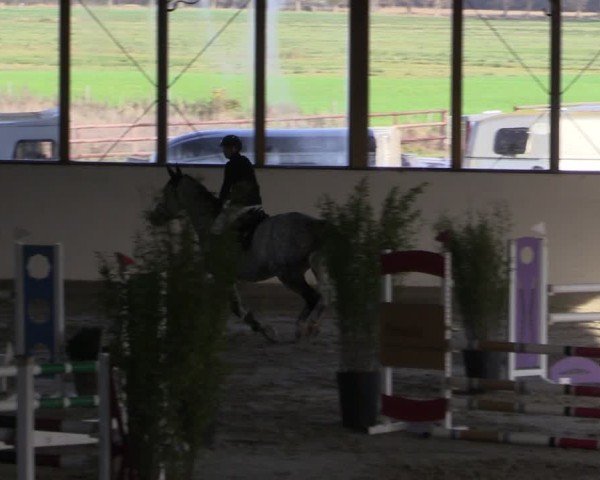 Reitturnier Fleesensee Classic´s 2024