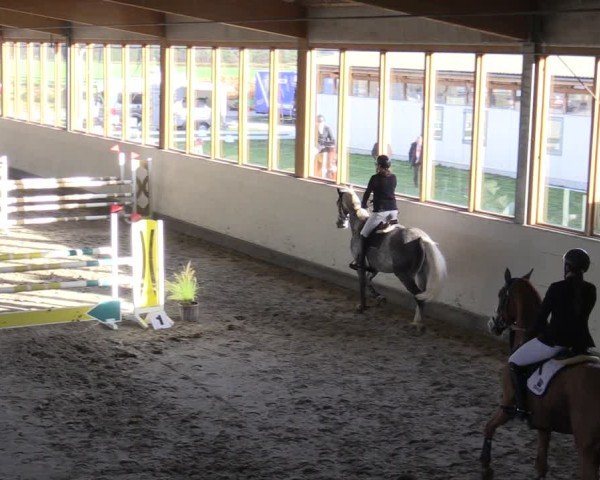 Reitturnier Fleesensee Classic´s 2024