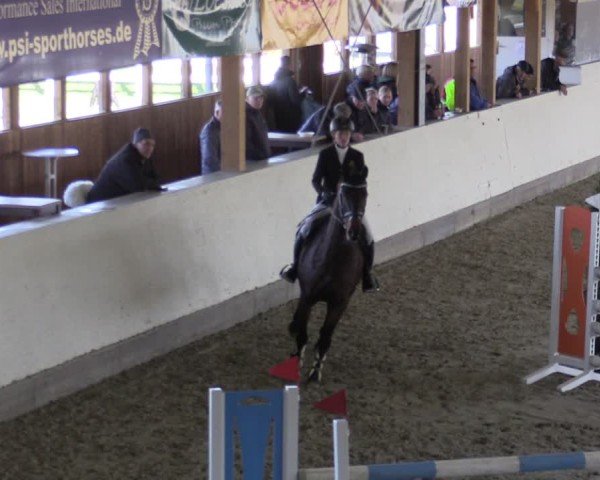 Reitturnier Fleesensee Classic´s 2024