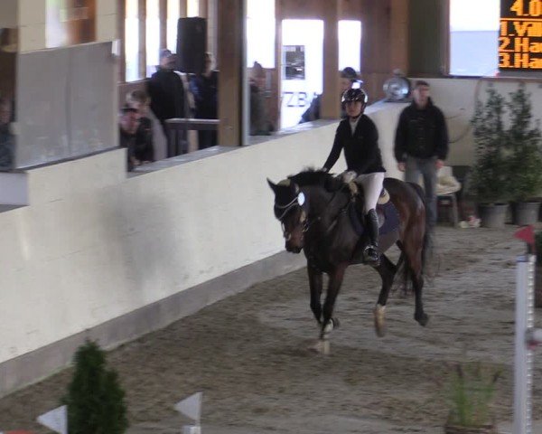 Reitturnier Fleesensee Classic´s 2024